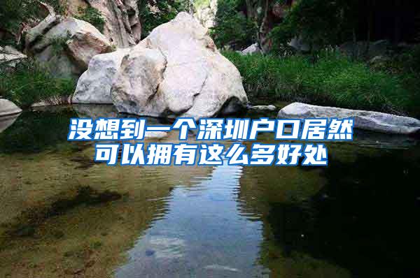 没想到一个深圳户口居然可以拥有这么多好处