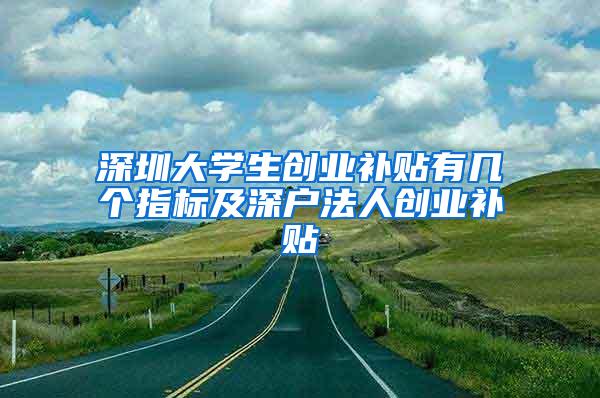 深圳大学生创业补贴有几个指标及深户法人创业补贴