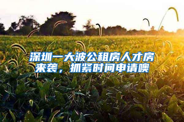 深圳一大波公租房人才房来袭，抓紧时间申请噢