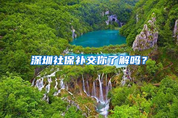 深圳社保补交你了解吗？