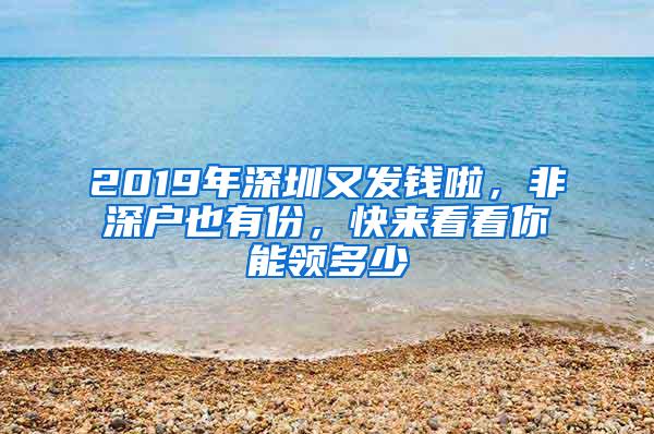 2019年深圳又发钱啦，非深户也有份，快来看看你能领多少