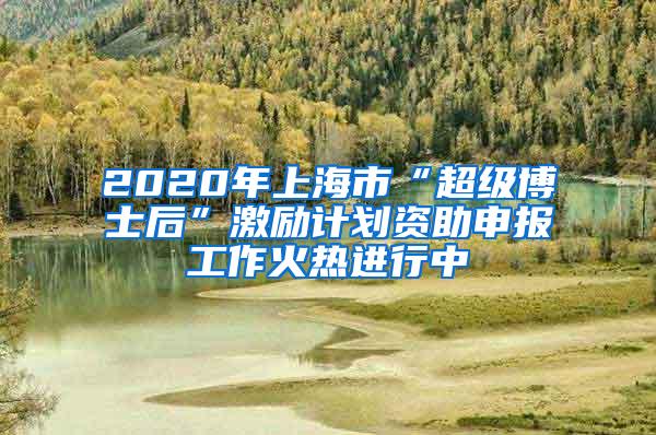 2020年上海市“超级博士后”激励计划资助申报工作火热进行中
