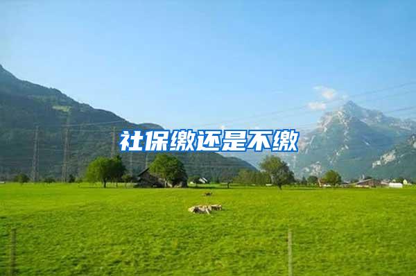 社保缴还是不缴