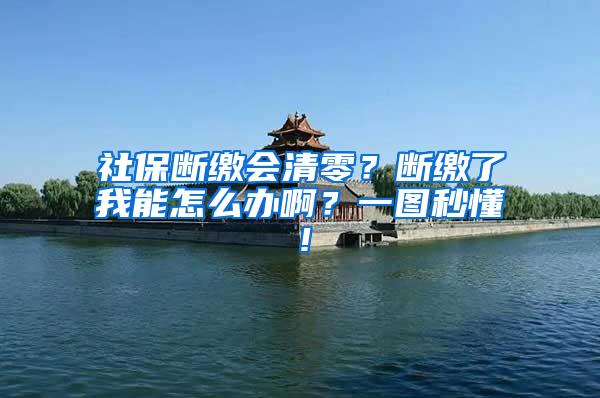 社保断缴会清零？断缴了我能怎么办啊？一图秒懂！