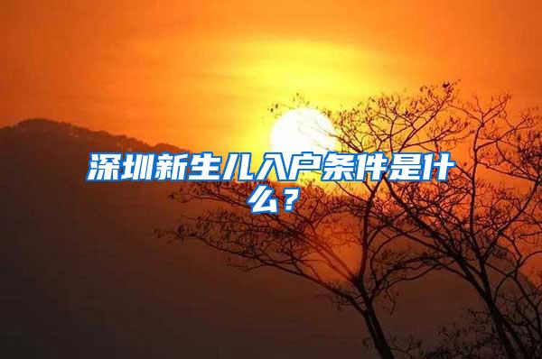 深圳新生儿入户条件是什么？