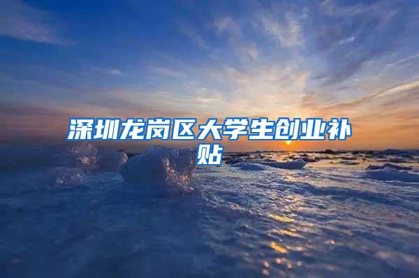 深圳龙岗区大学生创业补贴