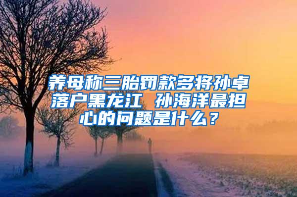 养母称三胎罚款多将孙卓落户黑龙江 孙海洋最担心的问题是什么？