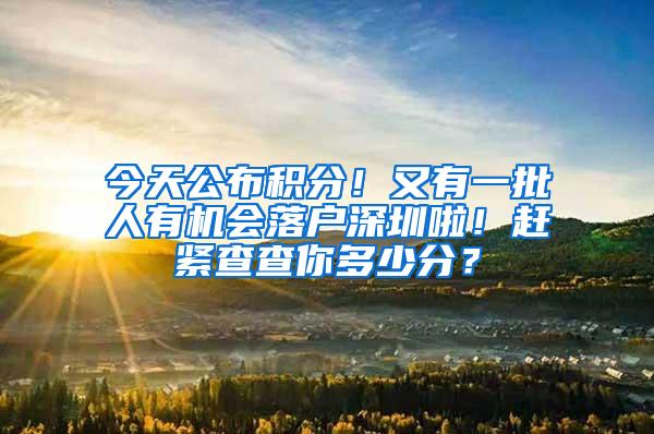 今天公布积分！又有一批人有机会落户深圳啦！赶紧查查你多少分？