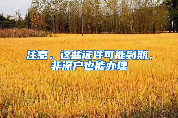 注意，这些证件可能到期，非深户也能办理