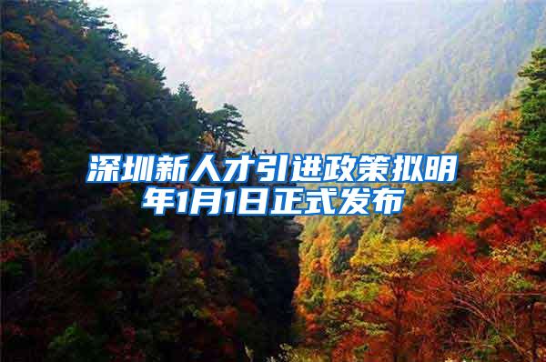 深圳新人才引进政策拟明年1月1日正式发布