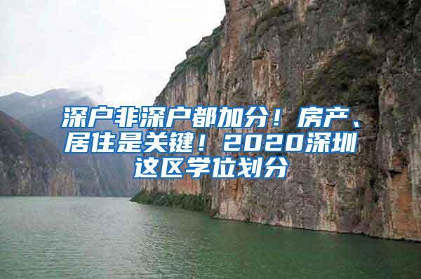 深户非深户都加分！房产、居住是关键！2020深圳这区学位划分