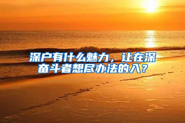 深户有什么魅力，让在深奋斗者想尽办法的入？