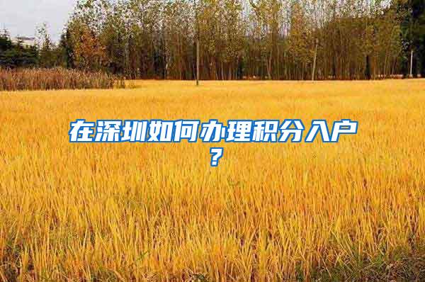 在深圳如何办理积分入户？