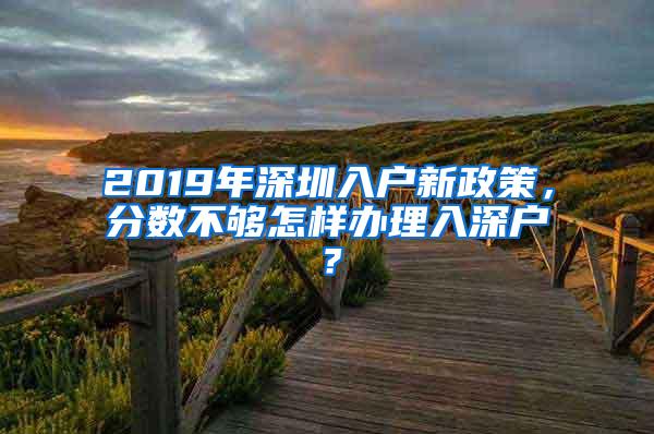 2019年深圳入户新政策，分数不够怎样办理入深户？
