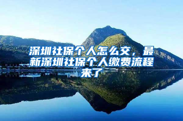 深圳社保个人怎么交，最新深圳社保个人缴费流程来了