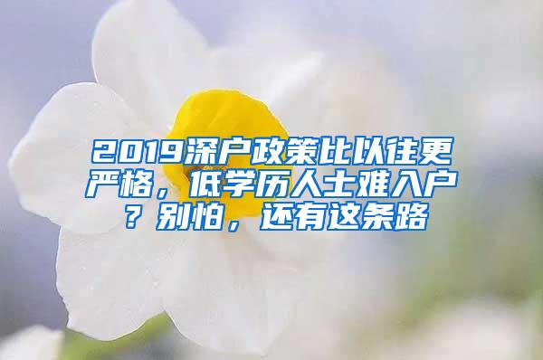 2019深户政策比以往更严格，低学历人士难入户？别怕，还有这条路