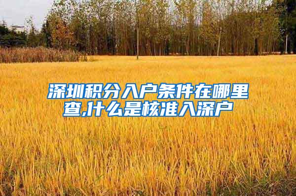 深圳积分入户条件在哪里查,什么是核准入深户