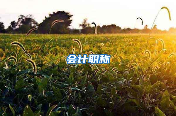 会计职称