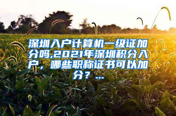 深圳入户计算机一级证加分吗,2021年深圳积分入户，哪些职称证书可以加分？...