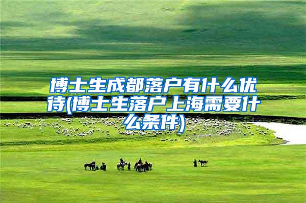 博士生成都落户有什么优待(博士生落户上海需要什么条件)