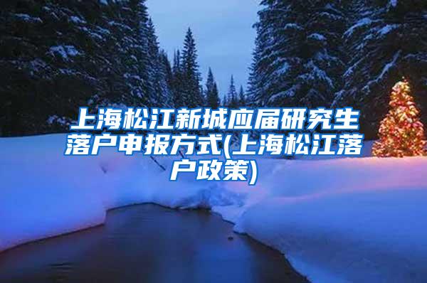 上海松江新城应届研究生落户申报方式(上海松江落户政策)