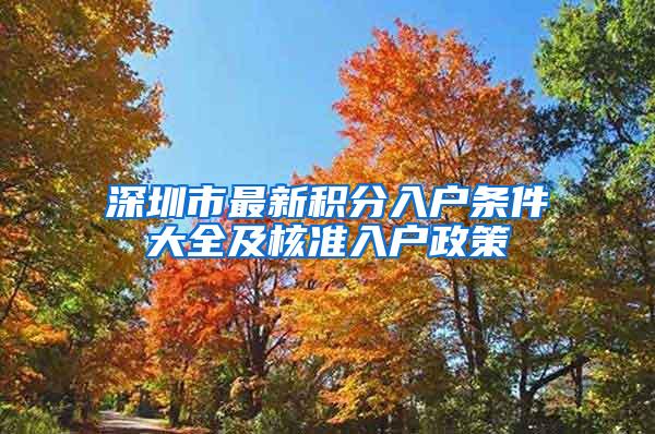 深圳市最新积分入户条件大全及核准入户政策