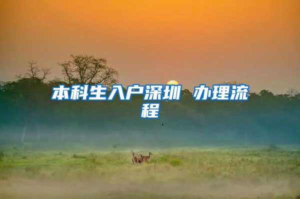 本科生入户深圳 办理流程