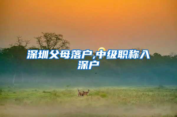 深圳父母落户,中级职称入深户