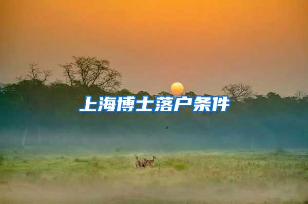 上海博士落户条件