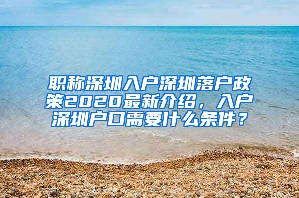 职称深圳入户深圳落户政策2020最新介绍，入户深圳户口需要什么条件？