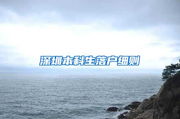 深圳本科生落户细则