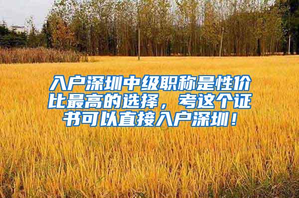入户深圳中级职称是性价比最高的选择，考这个证书可以直接入户深圳！