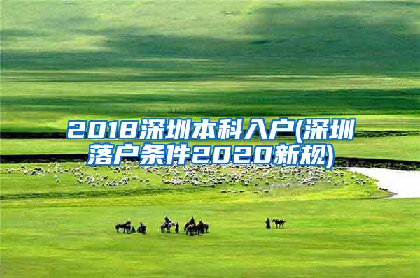 2018深圳本科入户(深圳落户条件2020新规)