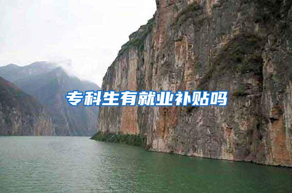 专科生有就业补贴吗