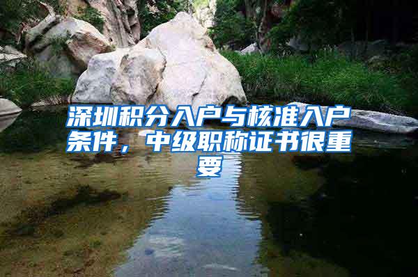 深圳积分入户与核准入户条件，中级职称证书很重要