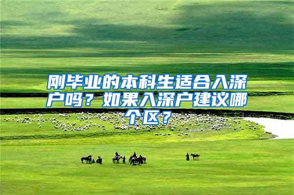 刚毕业的本科生适合入深户吗？如果入深户建议哪个区？