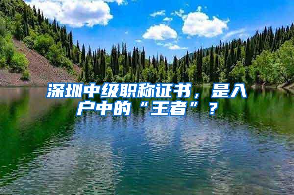 深圳中级职称证书，是入户中的“王者”？