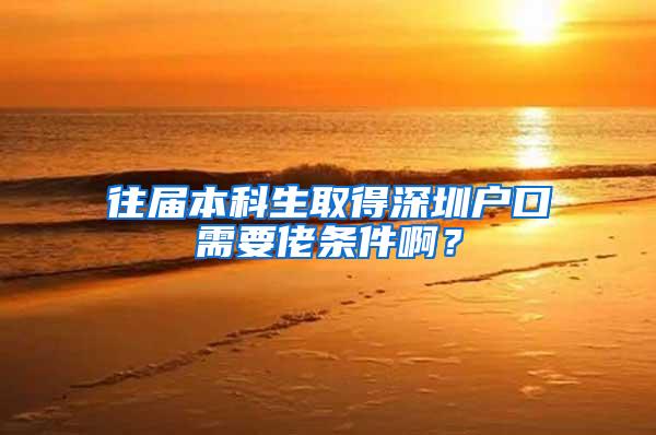 往届本科生取得深圳户口需要佬条件啊？