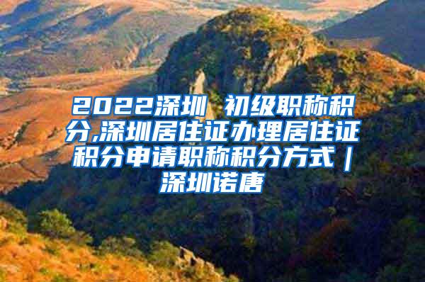 2022深圳 初级职称积分,深圳居住证办理居住证积分申请职称积分方式｜深圳诺唐