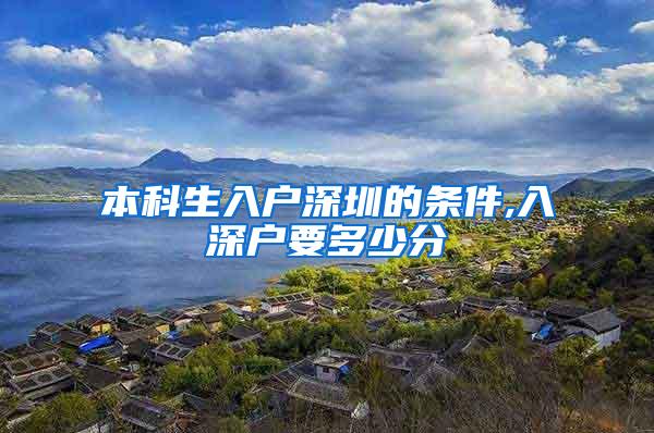 本科生入户深圳的条件,入深户要多少分
