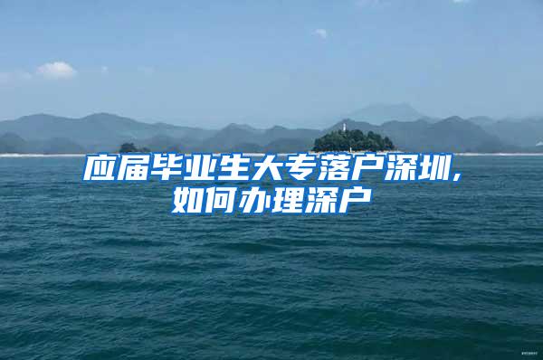 应届毕业生大专落户深圳,如何办理深户