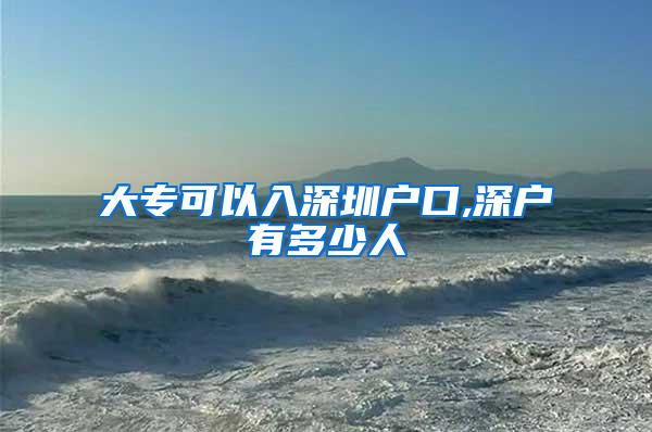 大专可以入深圳户口,深户有多少人