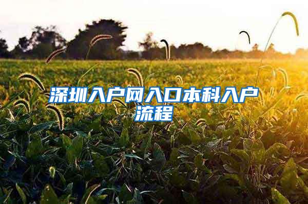 深圳入户网入口本科入户流程