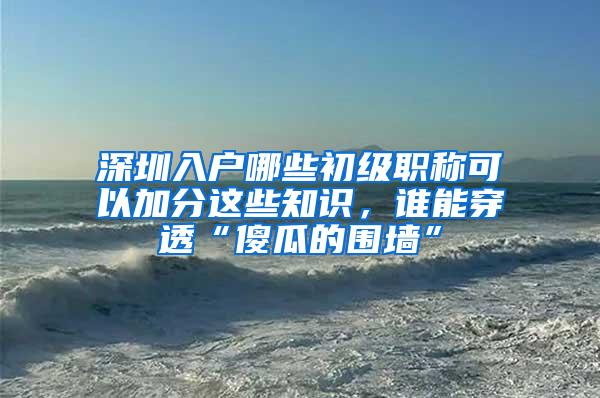 深圳入户哪些初级职称可以加分这些知识，谁能穿透“傻瓜的围墙”