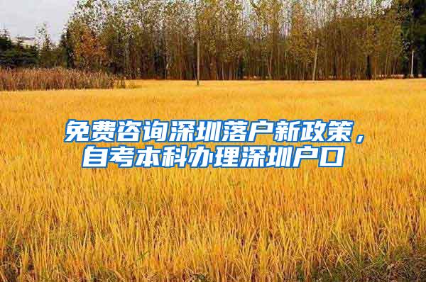 免费咨询深圳落户新政策，自考本科办理深圳户口