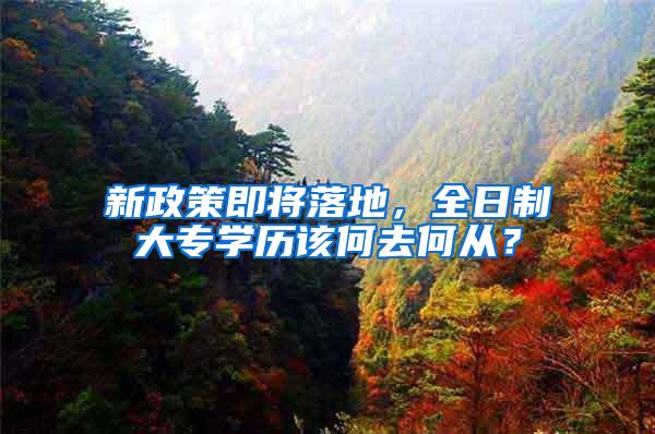 新政策即将落地，全日制大专学历该何去何从？