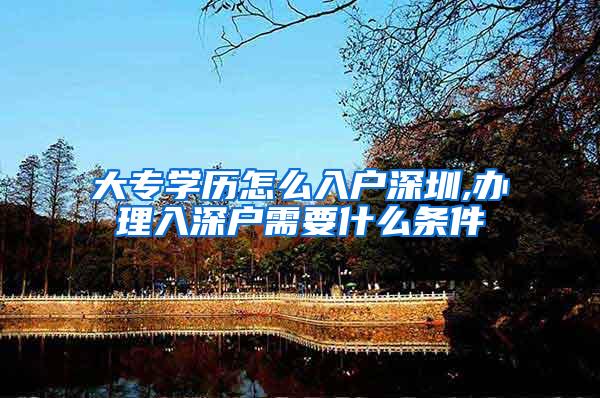 大专学历怎么入户深圳,办理入深户需要什么条件