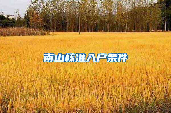 南山核准入户条件