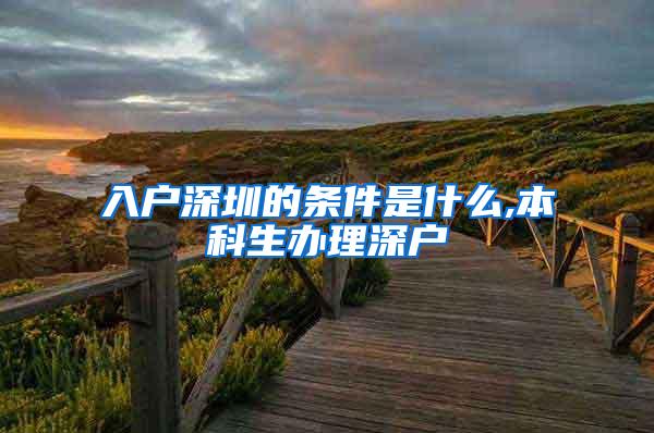 入户深圳的条件是什么,本科生办理深户