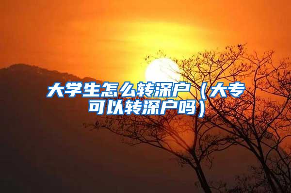 大学生怎么转深户（大专可以转深户吗）